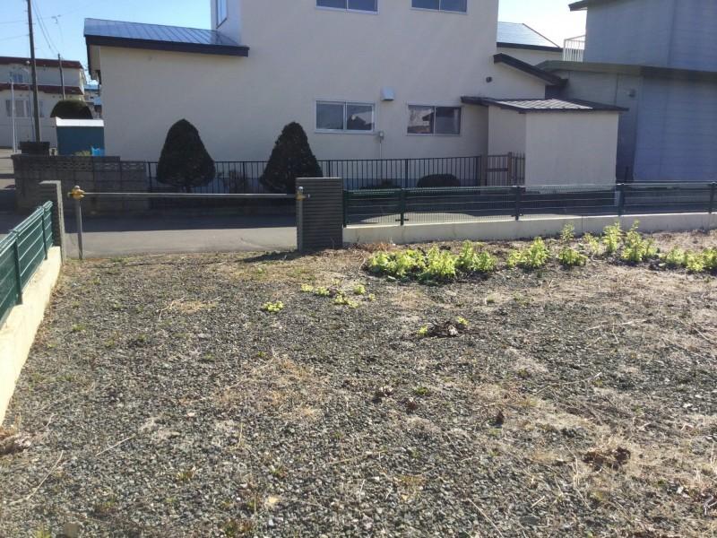 緑ケ岡5丁目　土地  内観