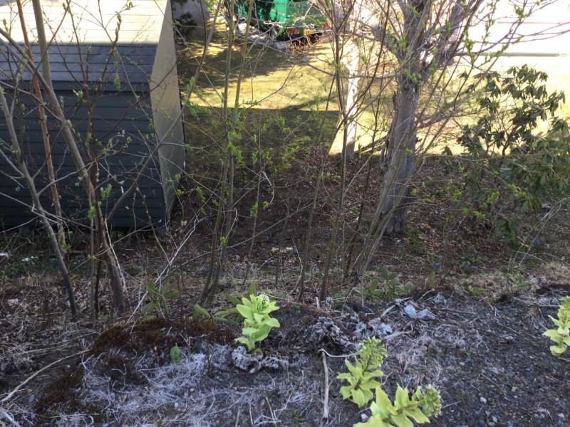 緑ケ岡5丁目　土地  内観