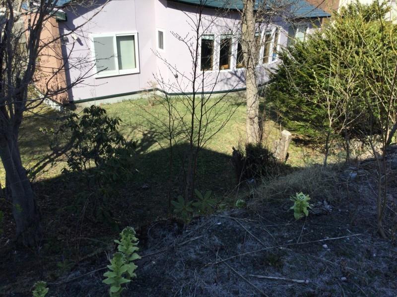 緑ケ岡5丁目　土地  内観