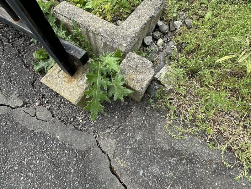 武佐2丁目　土地 内観