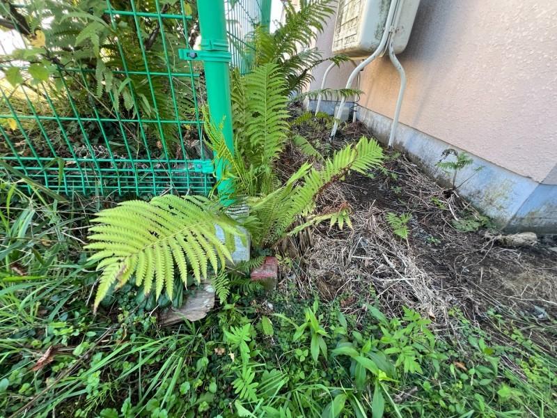 釧路町河畔　土地 内観