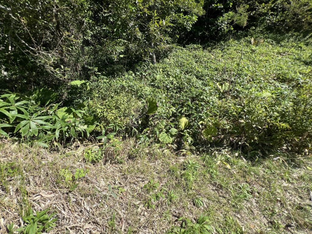 釧路町緑４丁目　土地 内観