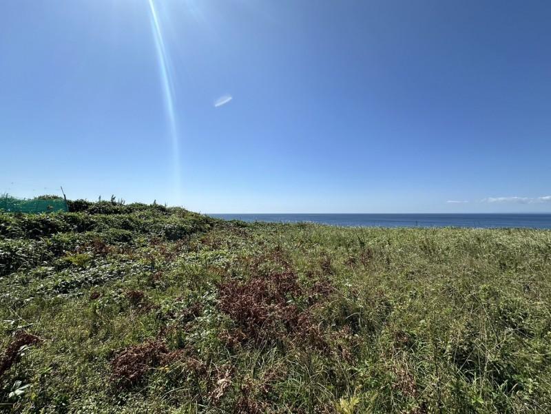 釧路市益浦　土地 内観