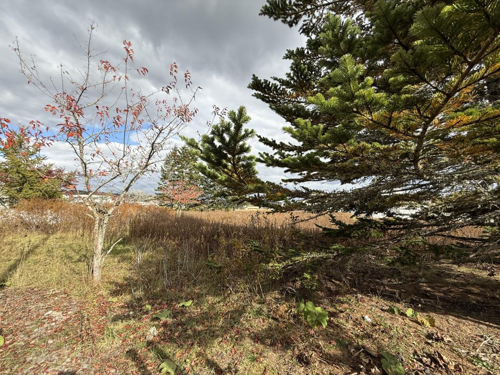 厚岸町光栄　土地 内観