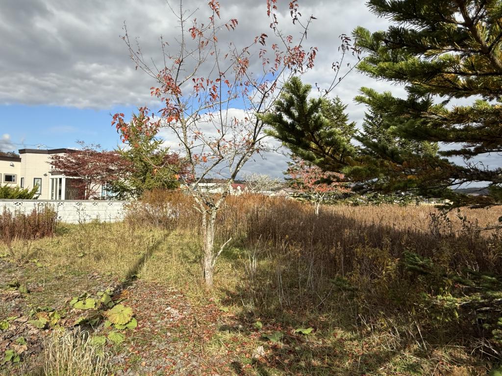 厚岸町光栄　土地 内観