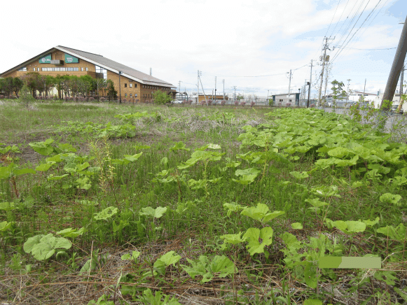 釧路町中央２丁目 内観