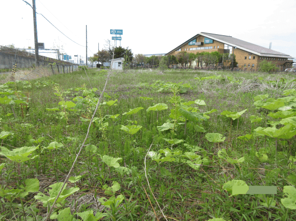 釧路町中央２丁目 内観
