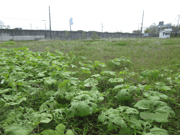 釧路町中央２丁目 内観